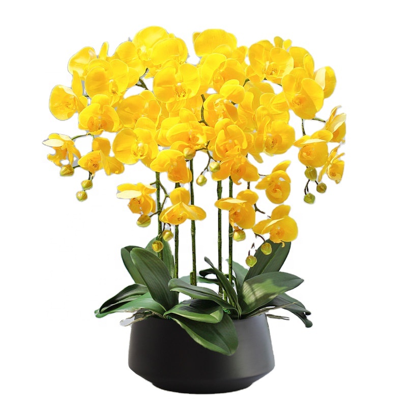 Orchid Phalaenopsis - Artificial Flower Phalaenopsis for Home Wedding
