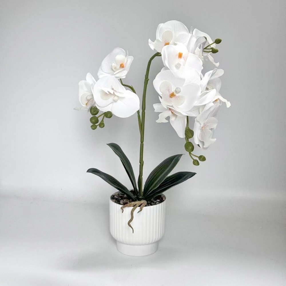 Multi-Bloom Simulated Butterfl - مراجعة Orchid Phalaenopsis وسعره