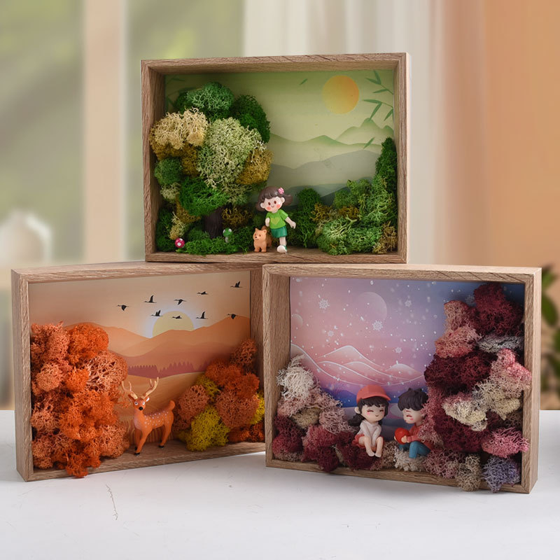 Seaweed Art DIY Kit - 3D Frame - مراجعة Plant Parent Gift Set وسعره