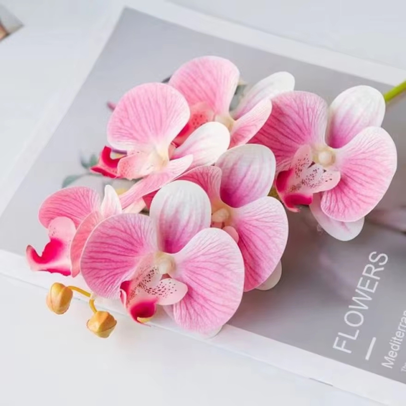 3D Artificial Flowers Plastic  - مراجعة Orchid Phalaenopsis وسعره