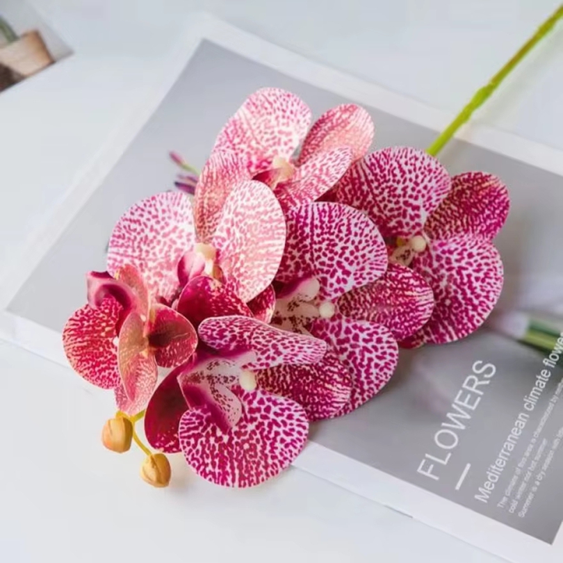 3D Artificial Flowers Plastic  - مراجعة Orchid Phalaenopsis وسعره
