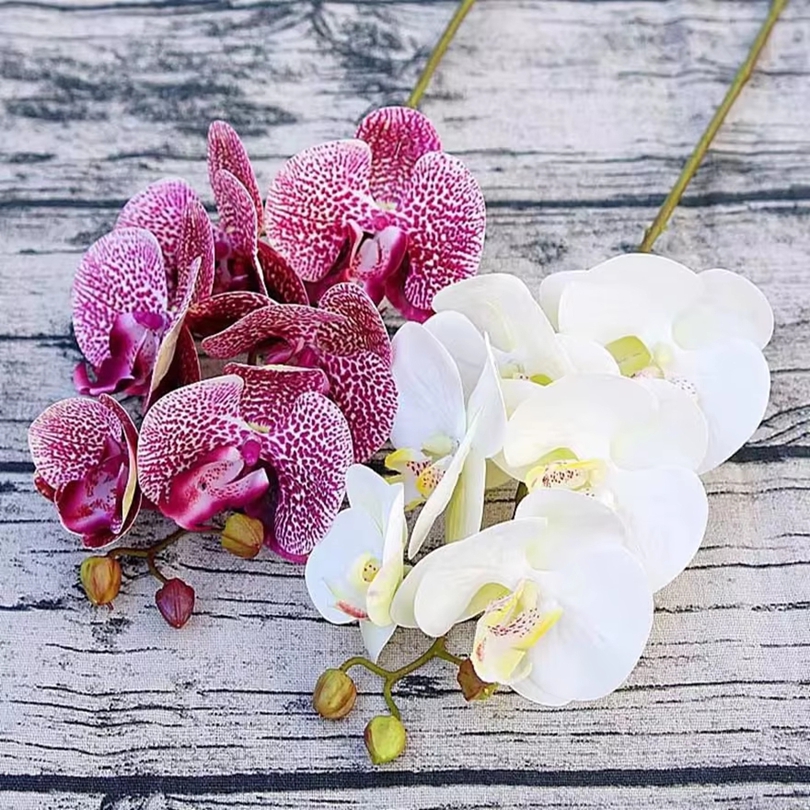 3D Artificial Flowers Plastic  - مراجعة Orchid Phalaenopsis وسعره