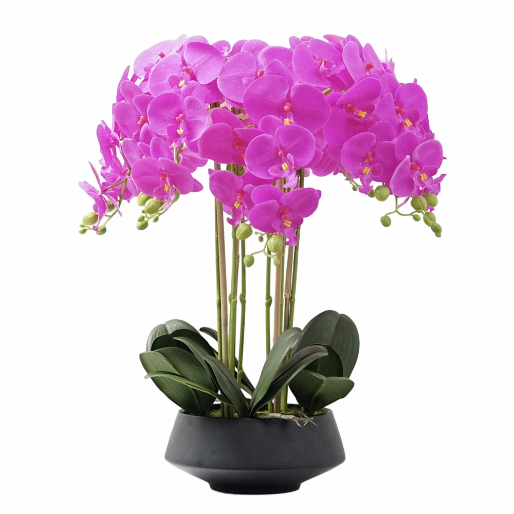 Artificial Potted Phalaenopsis - مراجعة Orchid Phalaenopsis وسعره