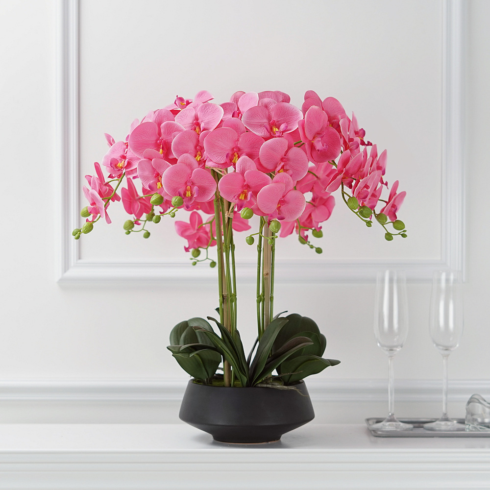 Artificial Potted Phalaenopsis - مراجعة Orchid Phalaenopsis وسعره