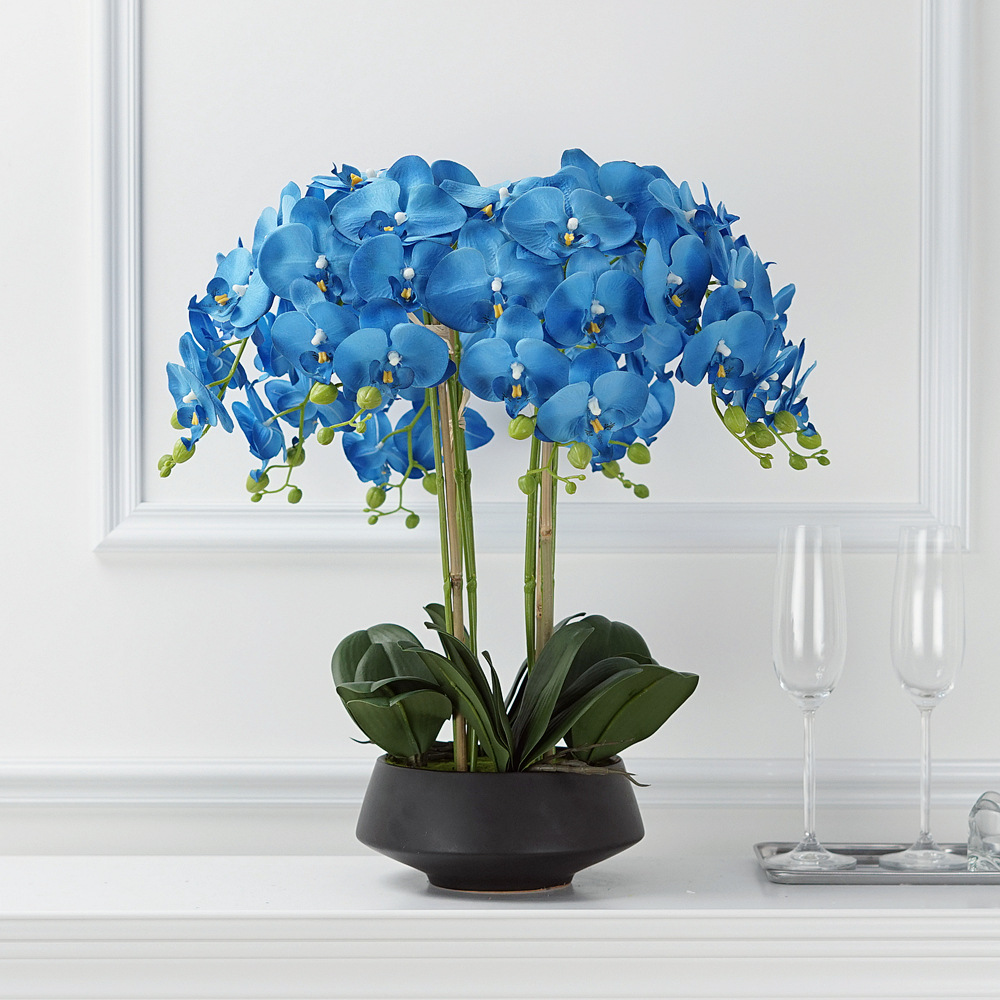 Artificial Potted Phalaenopsis - مراجعة Orchid Phalaenopsis وسعره