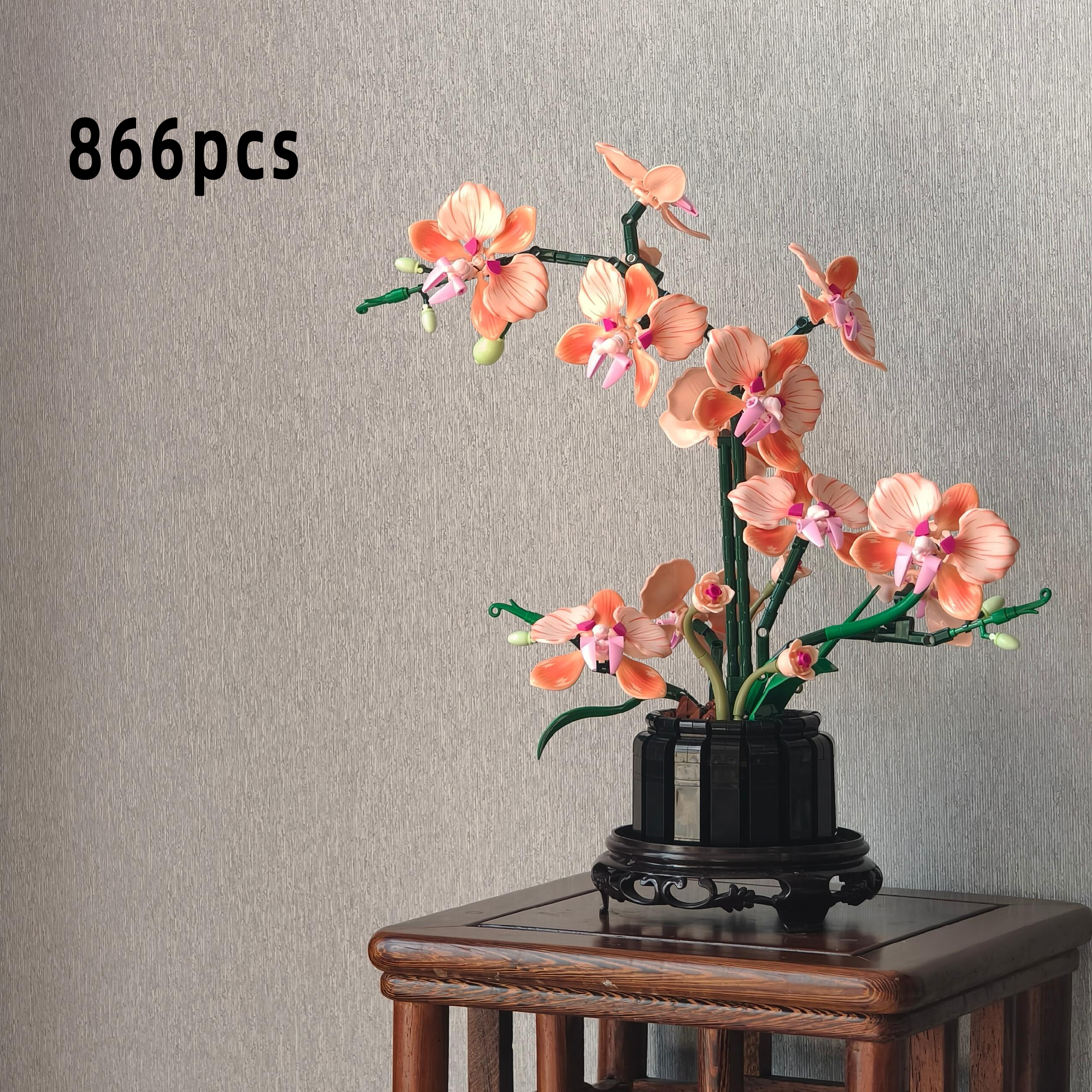 Orange Phalaenopsis Orchid Bui - مراجعة Orchid Phalaenopsis وسعره