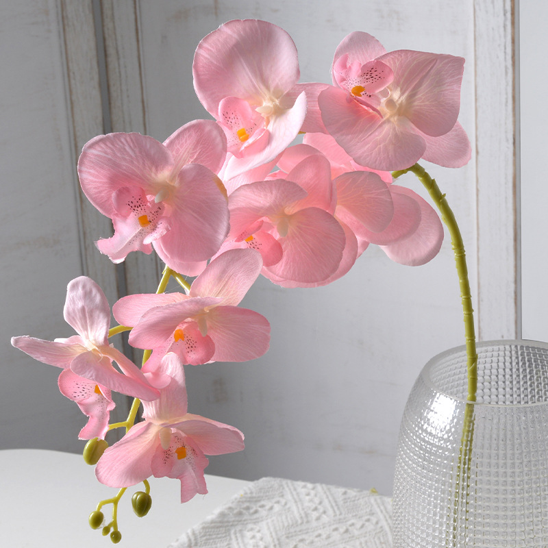 2pc 36cm Phalaenopsis Silk Clo - مراجعة Orchid Phalaenopsis وسعره