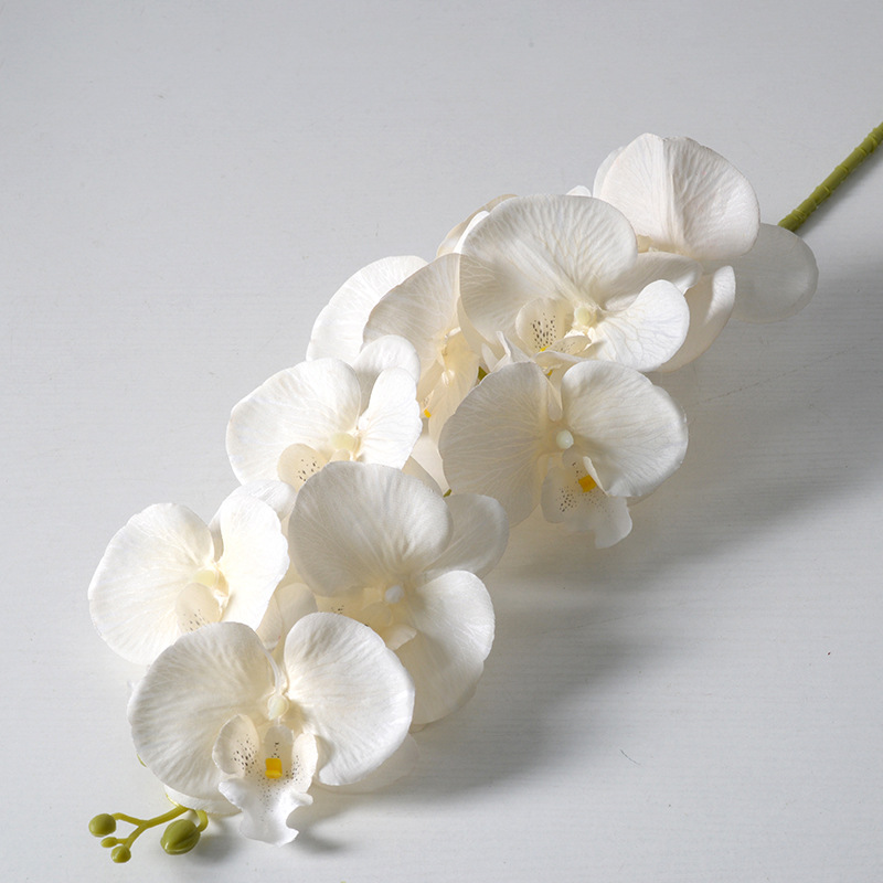 2pc 36cm Phalaenopsis Silk Clo - مراجعة Orchid Phalaenopsis وسعره