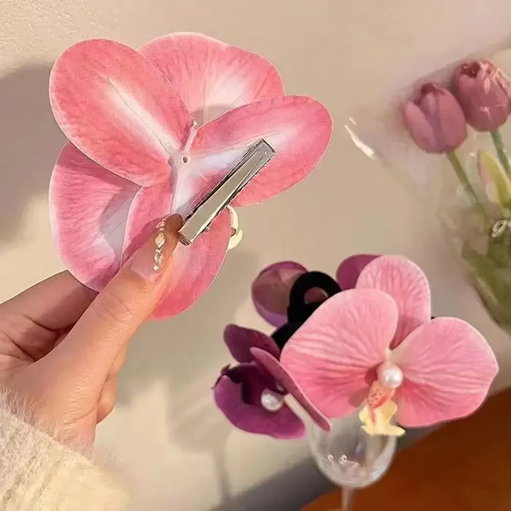 Phalaenopsis Pearl Hair Clip O - مراجعة Orchid Phalaenopsis وسعره