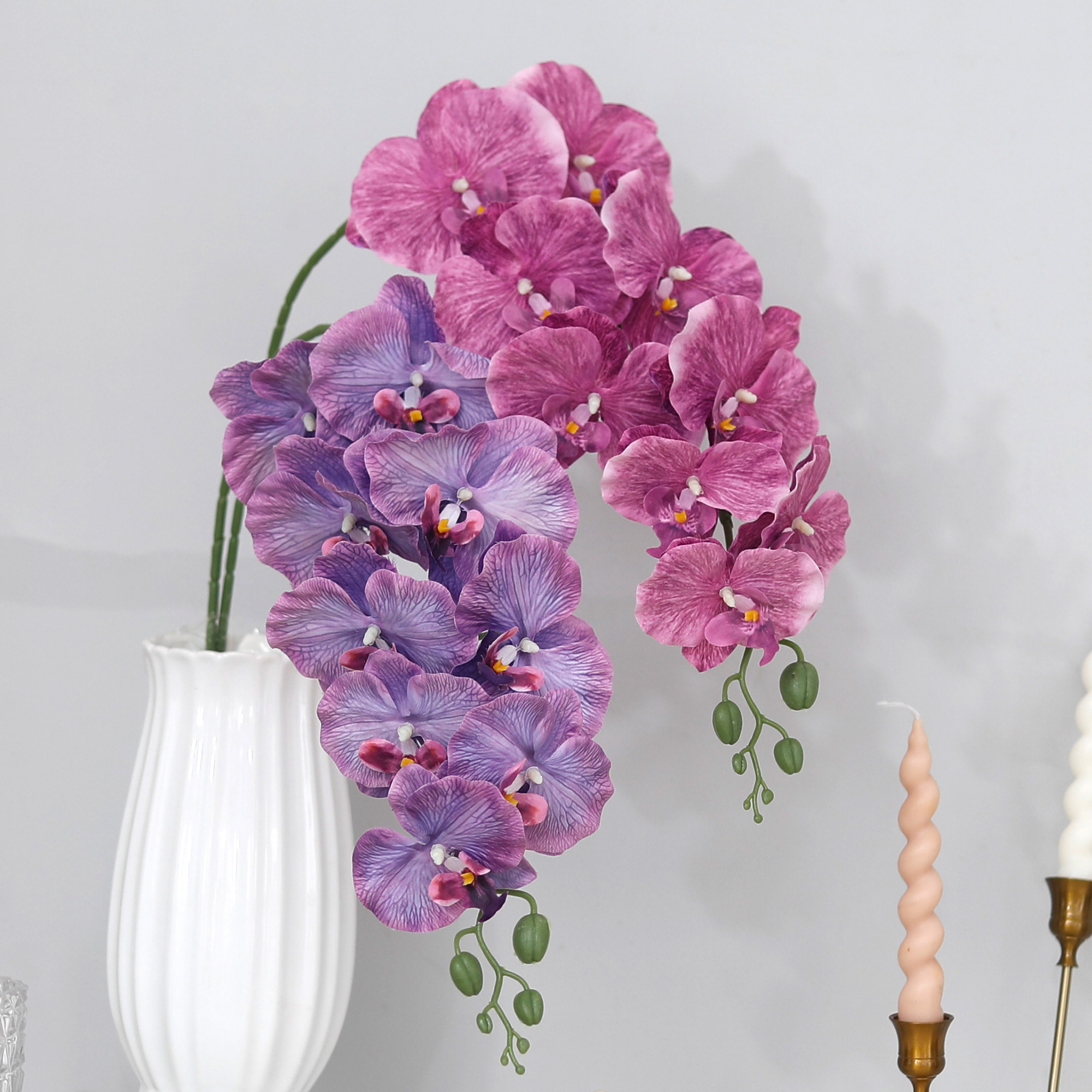 Long Branch Butterfly Orchids  - مراجعة Orchid Phalaenopsis وسعره