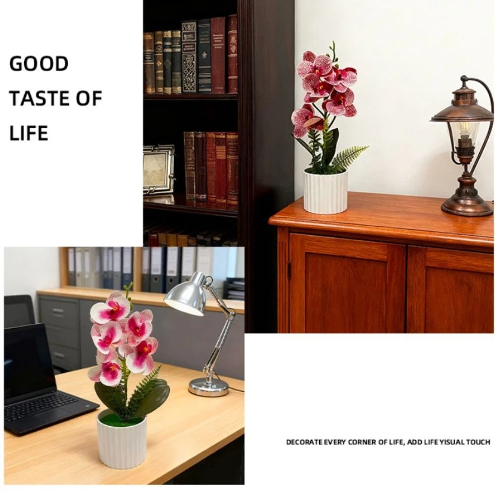 Multi-Bloom Simulated Butterfl - مراجعة Orchid Phalaenopsis وسعره
