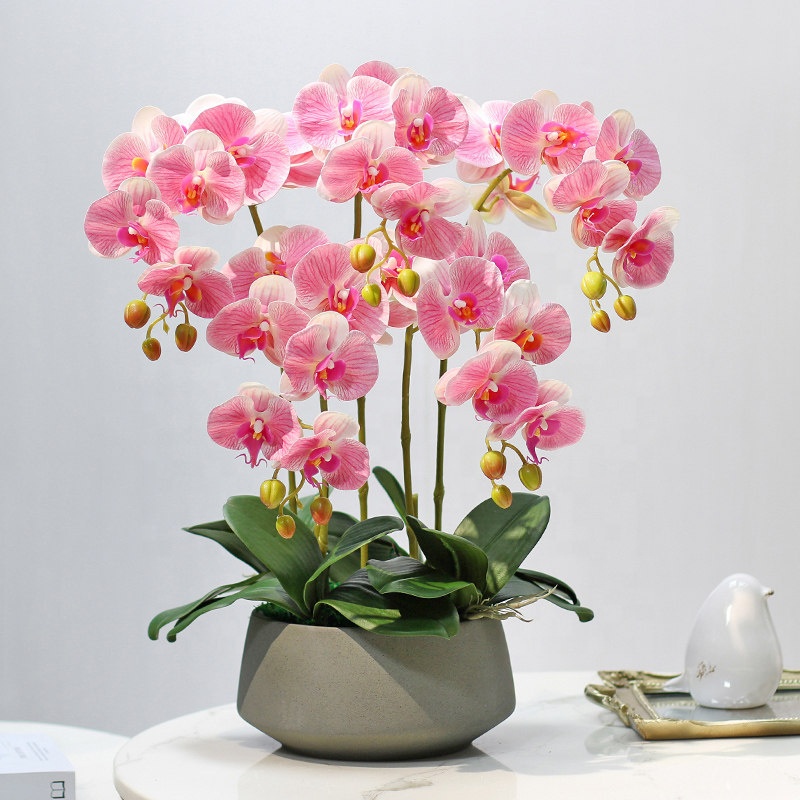 Artificial Flower Phalaenopsis - مراجعة Orchid Phalaenopsis وسعره