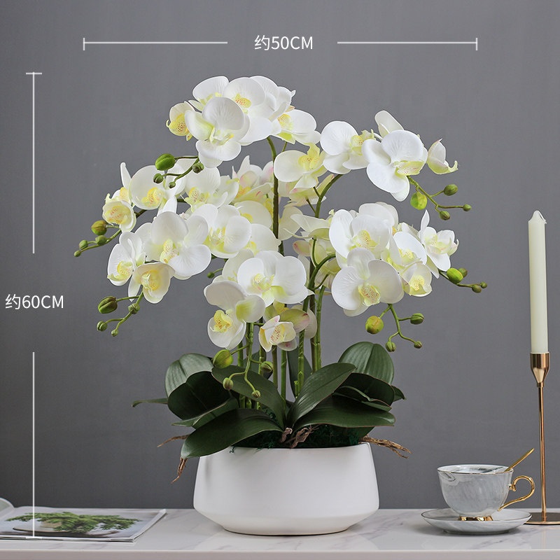 Artificial Flower Phalaenopsis - مراجعة Orchid Phalaenopsis وسعره