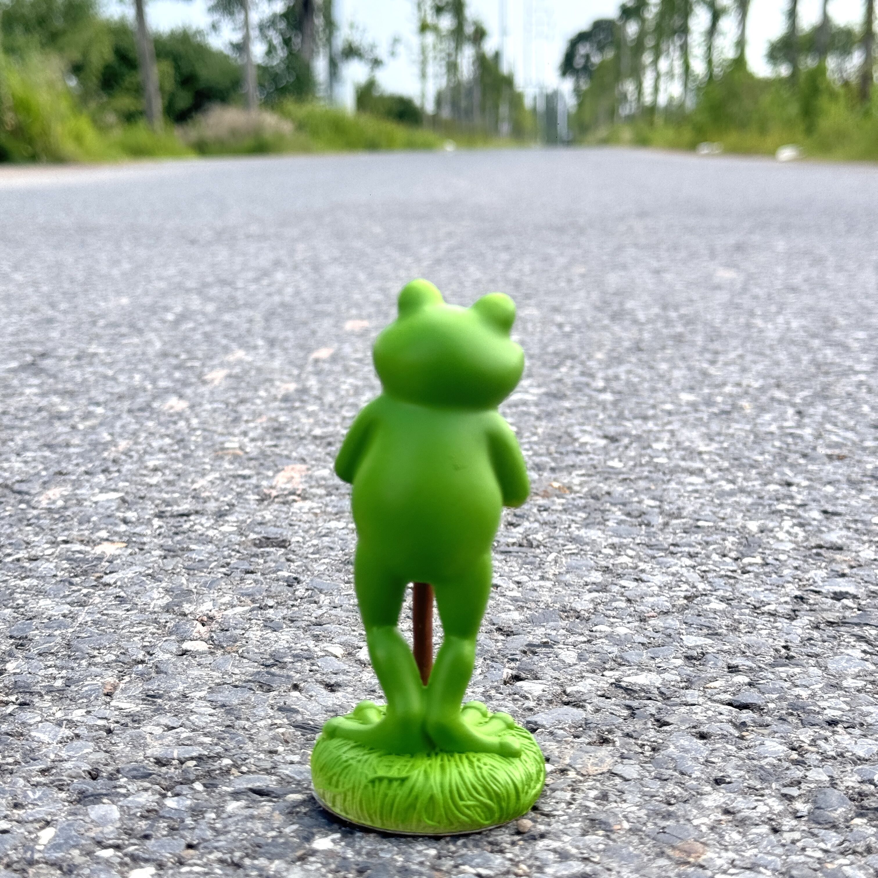 1Pc Charming Green Frog Garden - مراجعة Plant Parent Pot وسعره