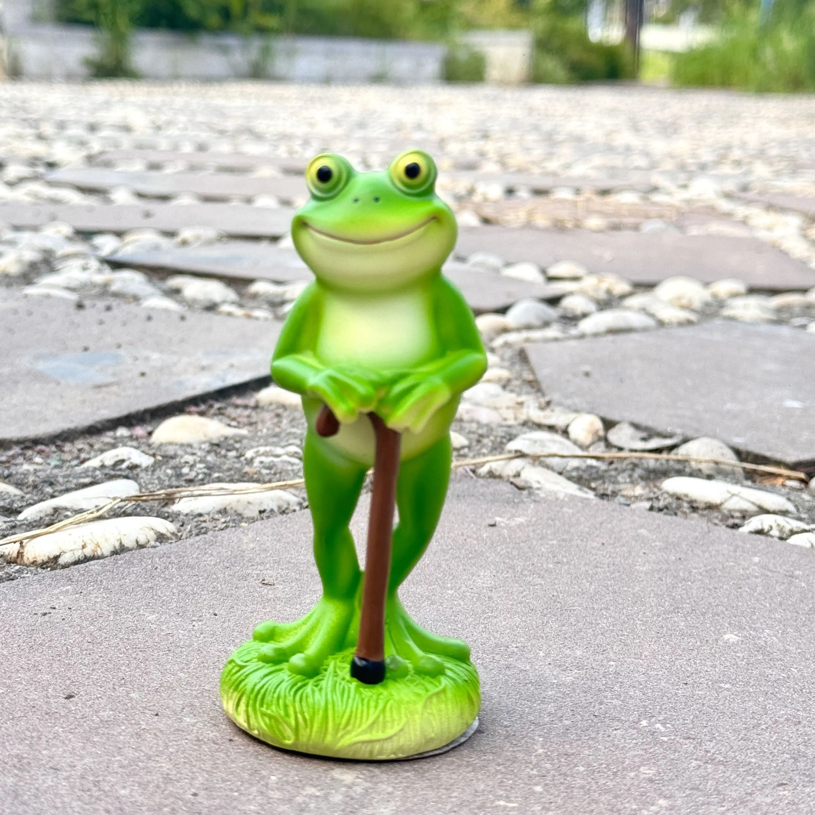 1Pc Charming Green Frog Garden - مراجعة Plant Parent Pot وسعره