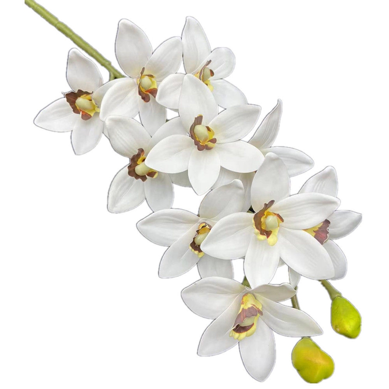 One Real Touch Cymbidium Hooke - مراجعة Orchid Phalaenopsis وسعره