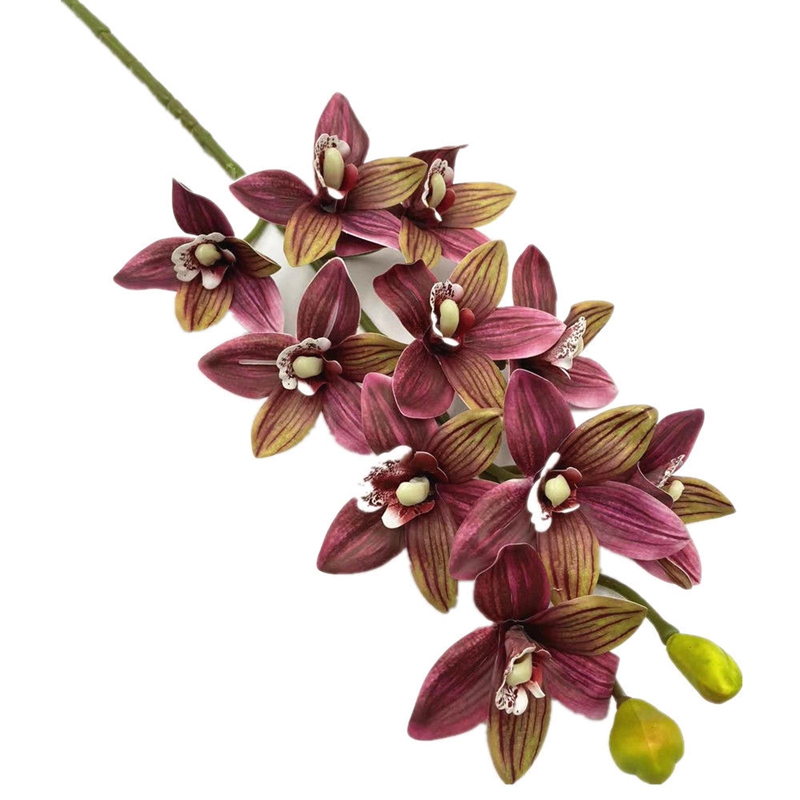 One Real Touch Cymbidium Hooke - مراجعة Orchid Phalaenopsis وسعره