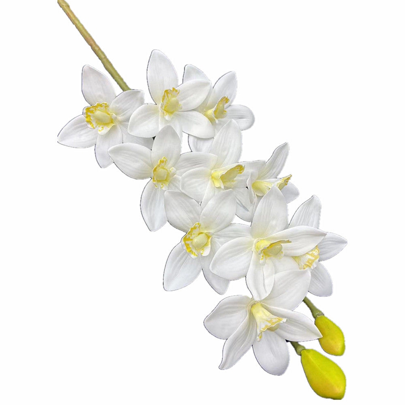 One Real Touch Cymbidium Hooke - مراجعة Orchid Phalaenopsis وسعره