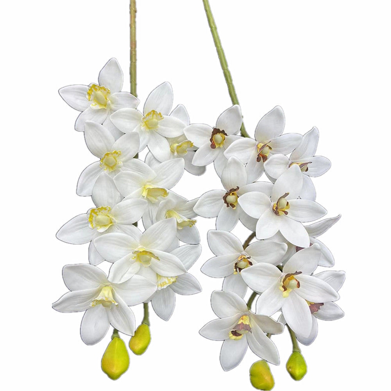 One Real Touch Cymbidium Hooke - مراجعة Orchid Phalaenopsis وسعره