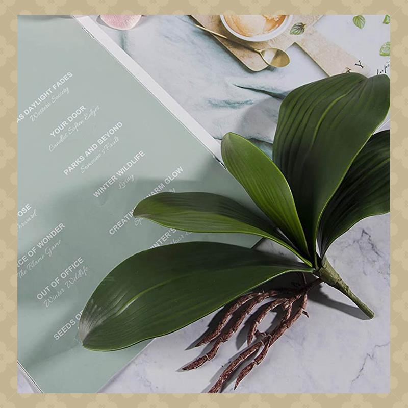 AB45 Phalaenopsis Orchids Leav - مراجعة Orchid Phalaenopsis وسعره