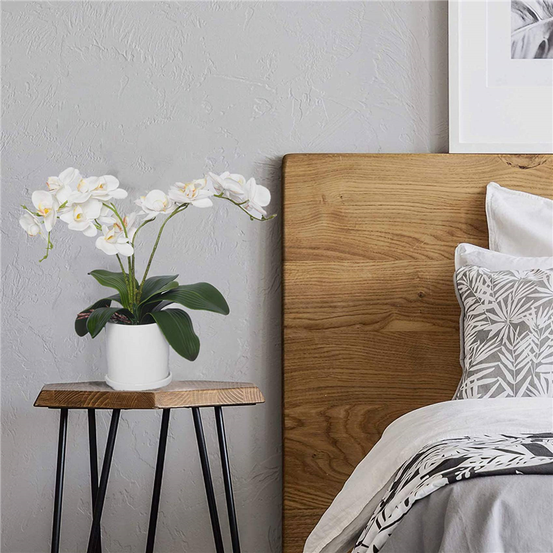 AB45 Phalaenopsis Orchids Leav - مراجعة Orchid Phalaenopsis وسعره