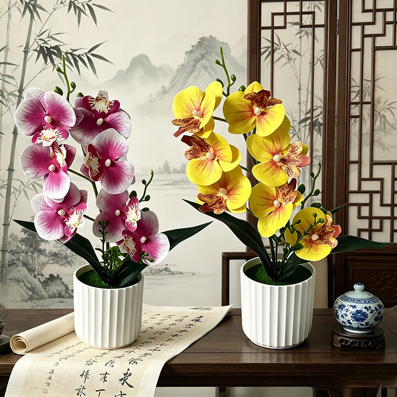 Butterfly Orchid 7-Flower Vert - مراجعة Orchid Phalaenopsis وسعره