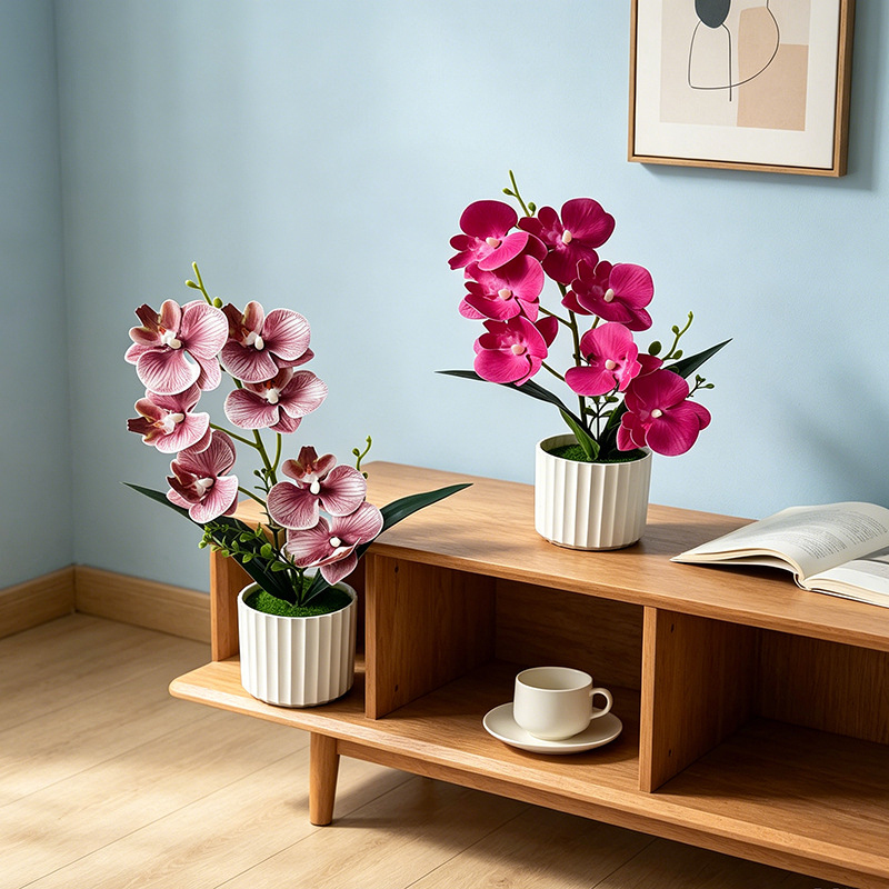 Butterfly Orchid 7-Flower Vert - مراجعة Orchid Phalaenopsis وسعره