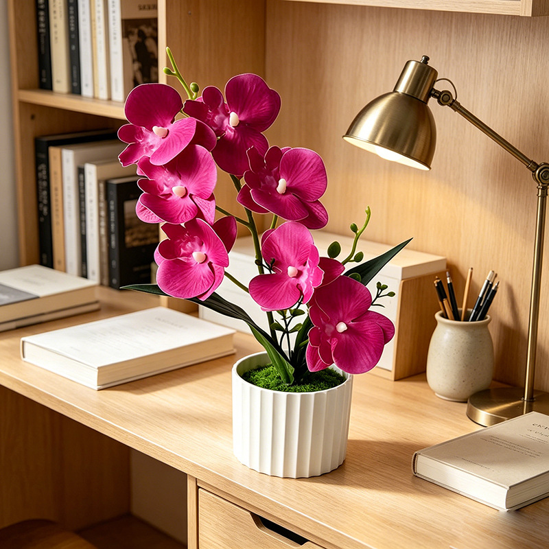 Butterfly Orchid 7-Flower Vert - مراجعة Orchid Phalaenopsis وسعره