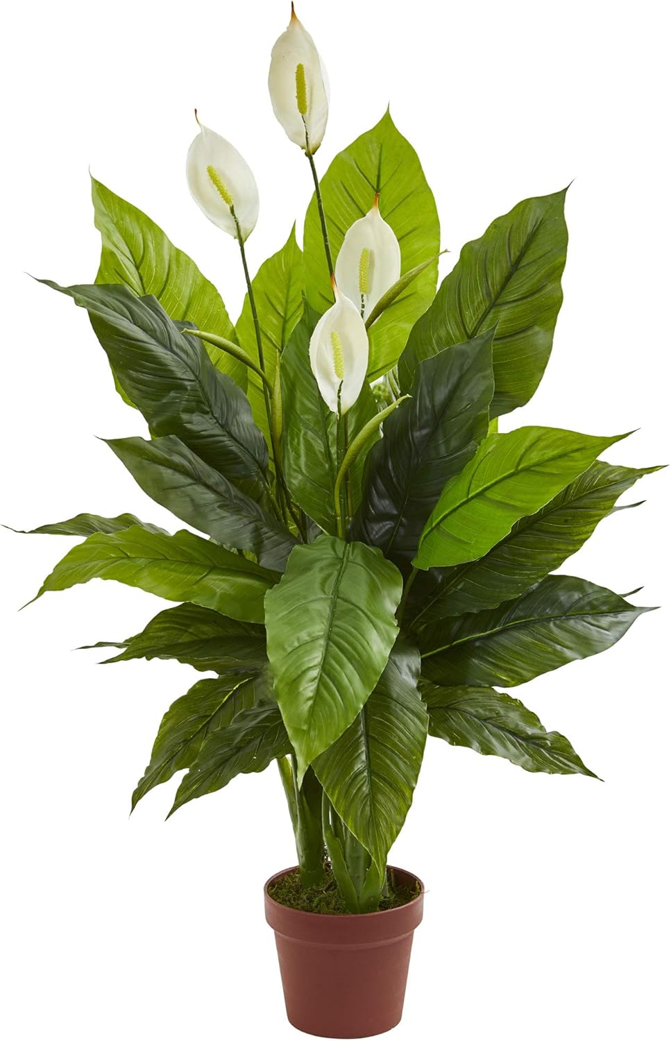 42in Artificial Peace Lily wit - مراجعة Peace Lily White وسعره