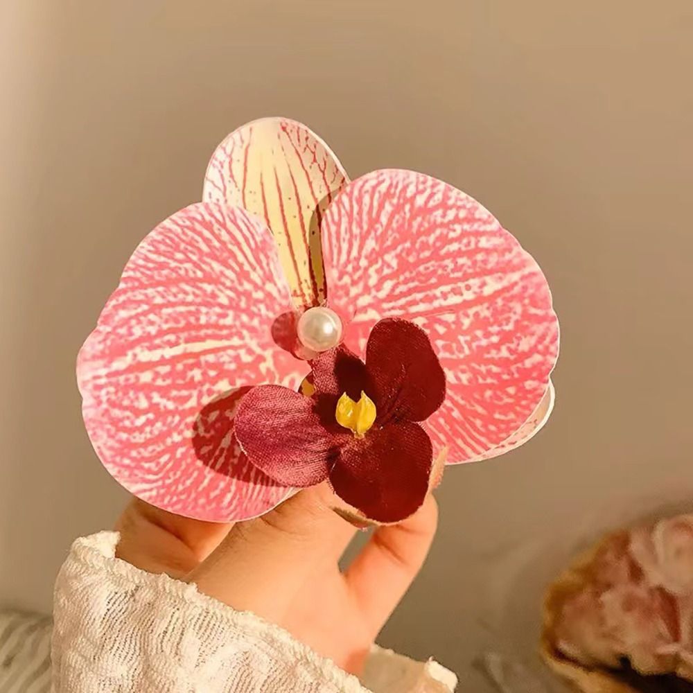 1Pcs Phalaenopsis Pearl Hair C - مراجعة Orchid Phalaenopsis وسعره