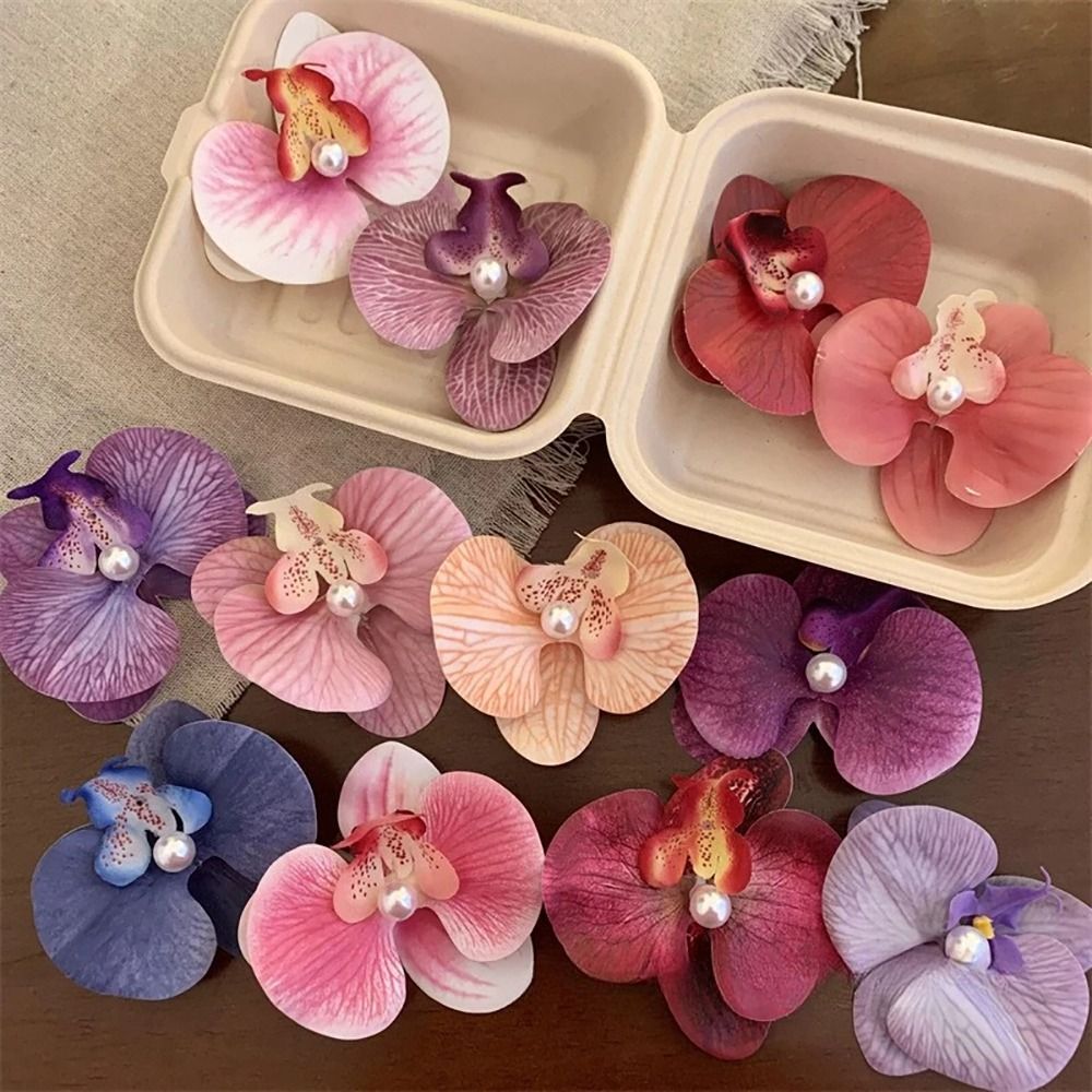1Pcs Phalaenopsis Pearl Hair C - مراجعة Orchid Phalaenopsis وسعره