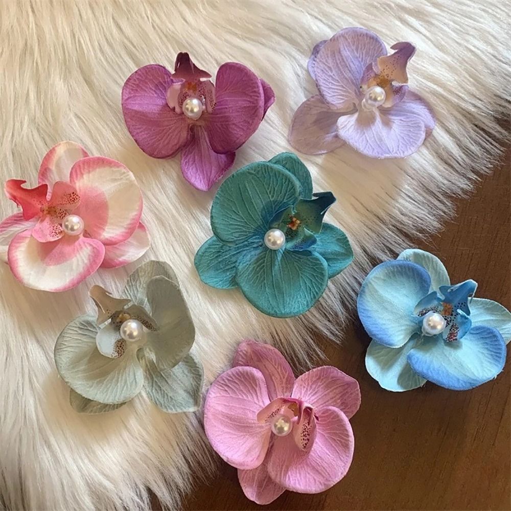 1Pcs Phalaenopsis Pearl Hair C - مراجعة Orchid Phalaenopsis وسعره