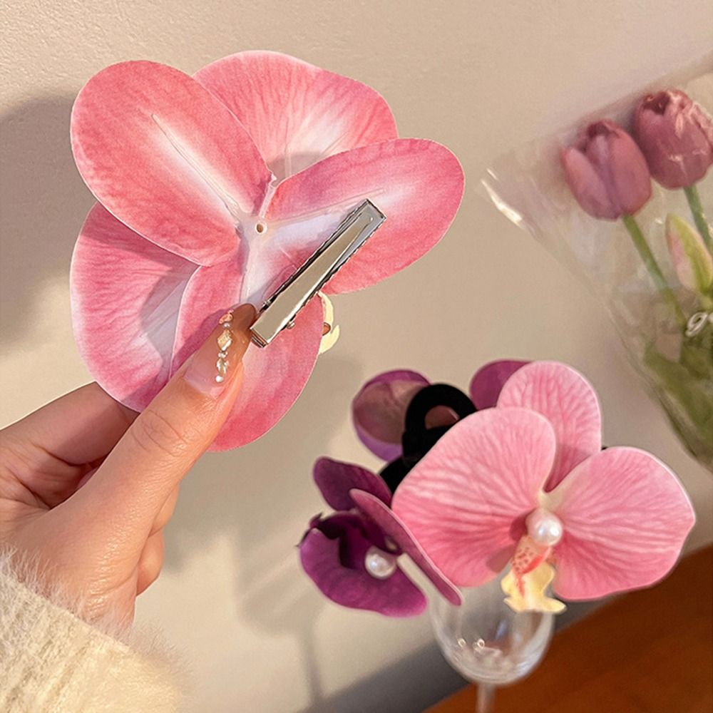 1Pcs Phalaenopsis Pearl Hair C - مراجعة Orchid Phalaenopsis وسعره