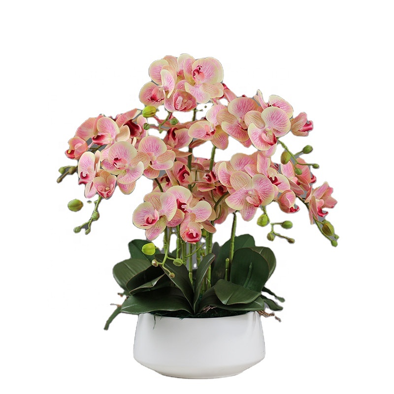 Decorative Flower Plastic Flow - مراجعة Orchid Phalaenopsis وسعره