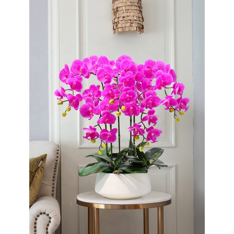 Decorative Flower Plastic Flow - مراجعة Orchid Phalaenopsis وسعره