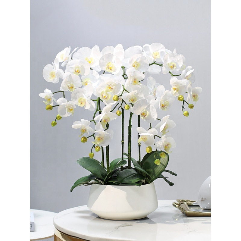 Decorative Flower Plastic Flow - مراجعة Orchid Phalaenopsis وسعره