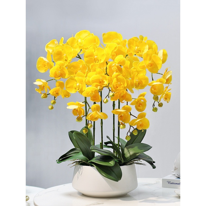 Decorative Flower Plastic Flow - مراجعة Orchid Phalaenopsis وسعره